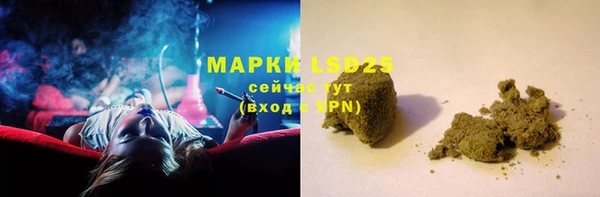 гидра Арсеньев