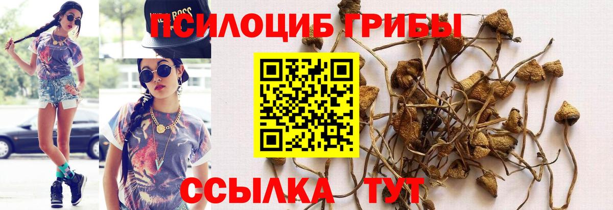 Галлюциногенные грибы прущие грибы  Вход с VPN  Анапа  Псилоцибиновые грибы Magic Shrooms 