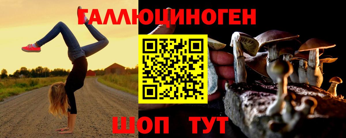 Галлюциногенные грибы Psilocybe Анапа